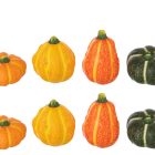 Boite De 8 Citrouille Argile Multicolore (59672)