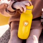 Gourde 500ml - Mr. Lion TRIXIE